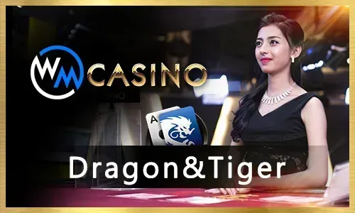 PHDREAM Mobile Bingo